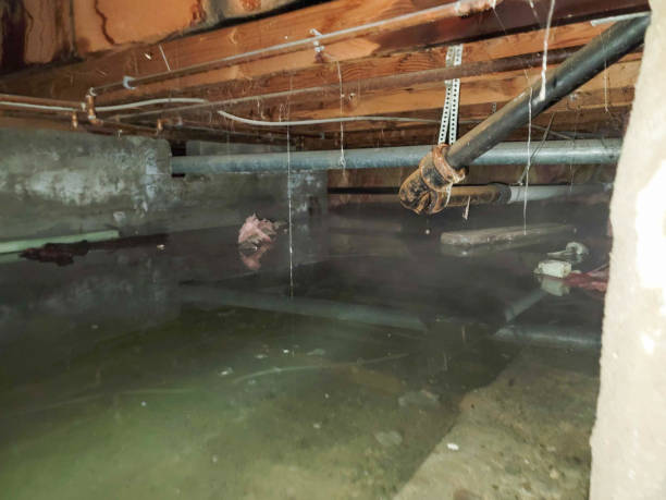 Best 24-hour water damage restoration  in Emigration Canyon, UT