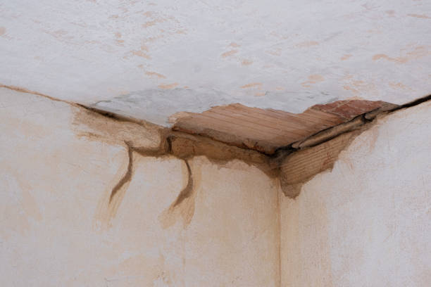 Best Basement water damage restoration  in Emigration Canyon, UT