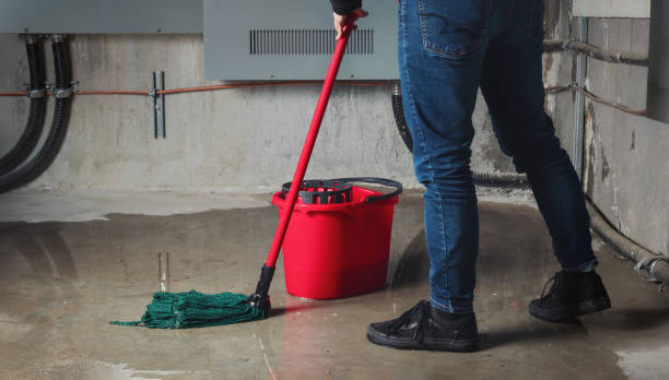 Best Flooded house restoration  in Emigration Canyon, UT