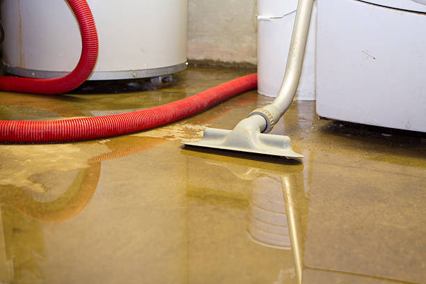 Best 24/7 water damage repair  in Emigration Canyon, UT